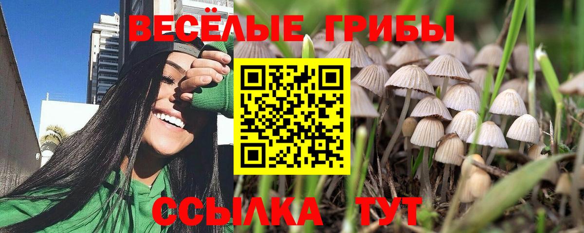 Янаул  Псилоцибиновые грибы ЛСД  Вход с VPN 