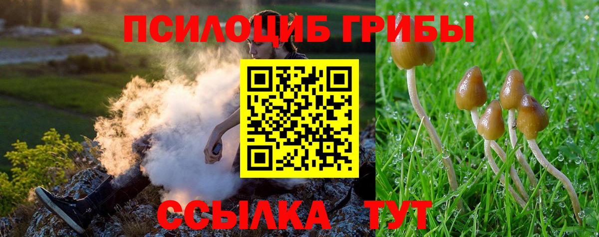 Псилоцибиновые грибы Psilocybine cubensis Янаул